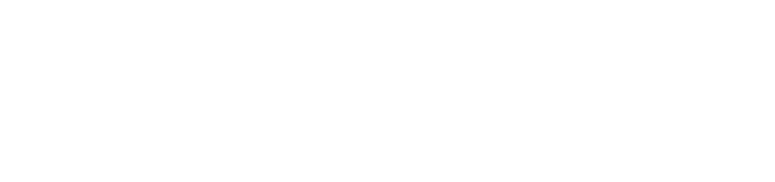 PayFlowAI
